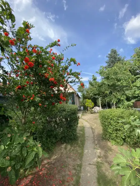 Eladó nyaraló, Nagyvenyim 2 szoba 50 m² 10.4 M Ft