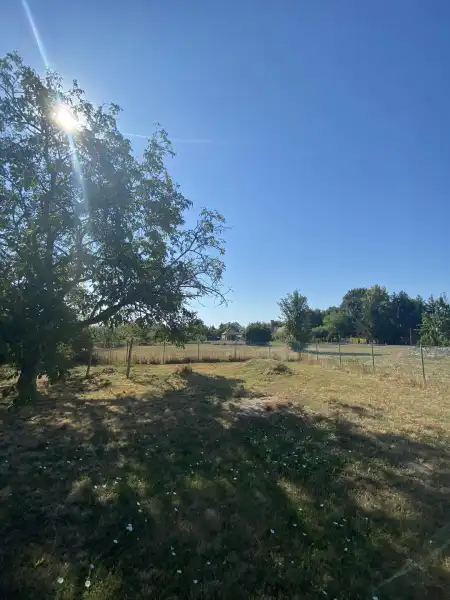 Eladó telek, Daruszentmiklós 1809 m² 4 M Ft